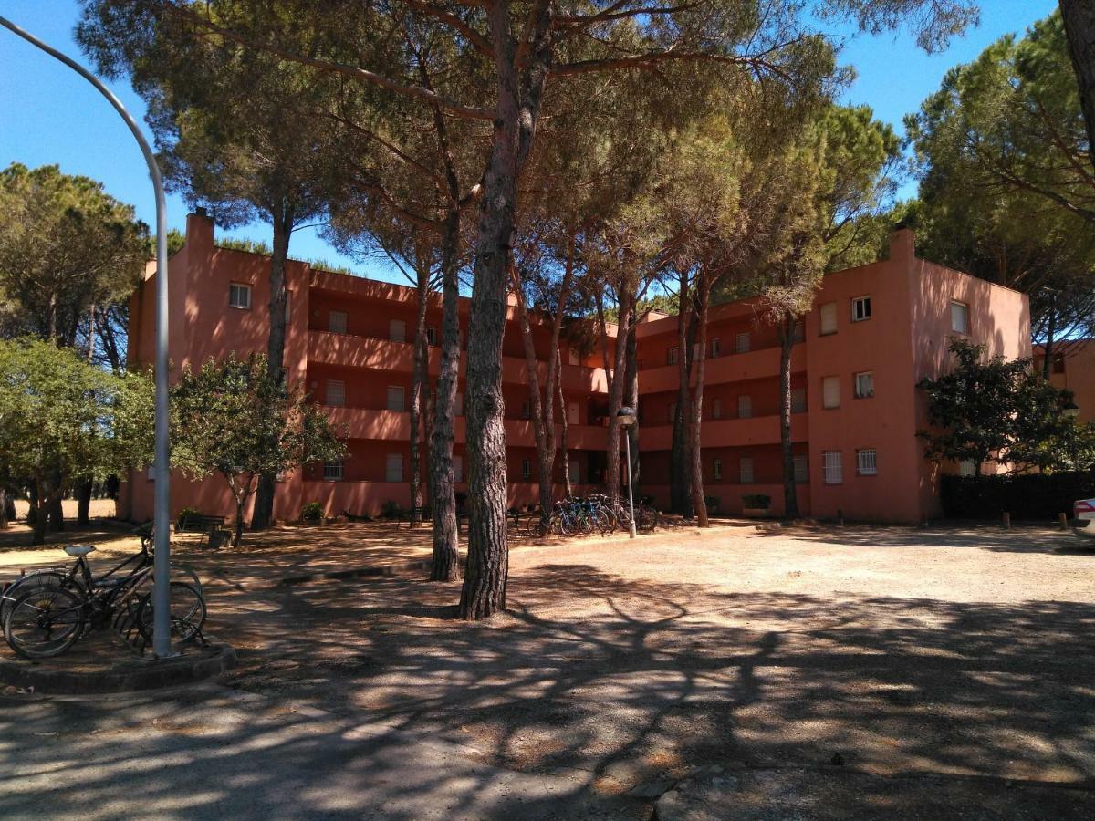 Bonito Apartamento, Con Piscina, Excelente Wifi Y Aire Acondicionado Pals Exteriör bild